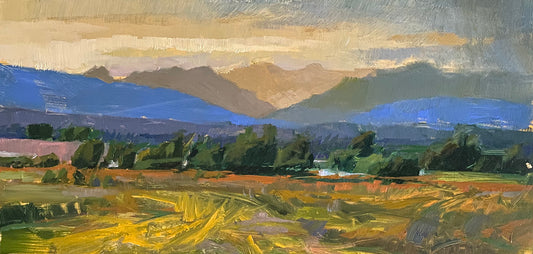 Calming of The Storm