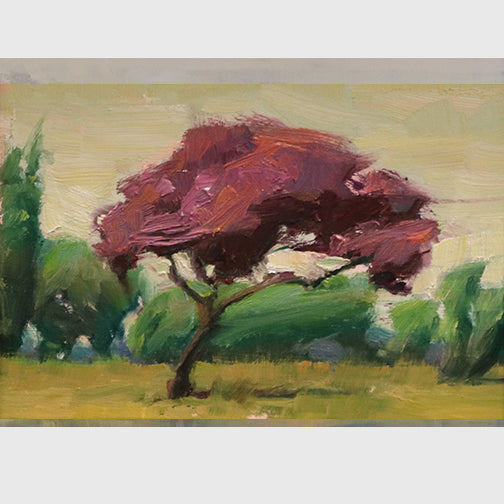 Blossom Tree