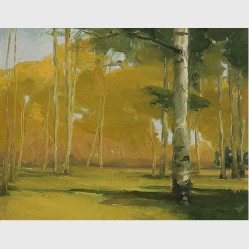 Bear Lake Aspens