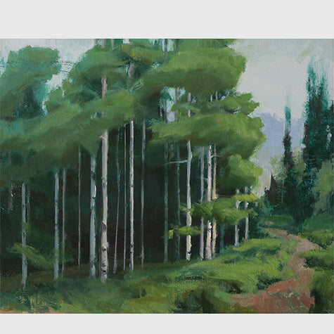 A Representational Collection by M Gillenwater